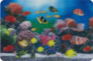 single no background aquarium mat